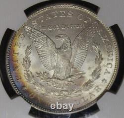 1887 CAC Morgan Silver Dollar Graded NGC MS63 Gold Color Toning Toned Coin