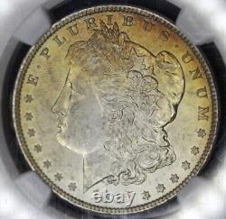 1887 CAC Morgan Silver Dollar Graded NGC MS63 Gold Color Toning Toned Coin