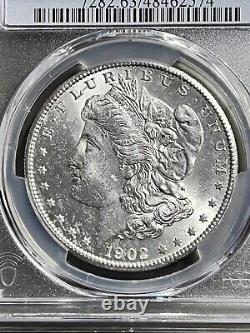 1902 S MORGAN! SPECTACULAR COIN EVER$$ WOW MS 63 Gold Sheild