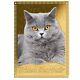 2022 Tokelau Cat $1 24K Gold Colorized Coin British Shorthair Cat. 999 1 Dollar