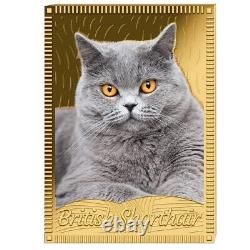 2022 Tokelau Cat $1 24K Gold Colorized Coin British Shorthair Cat. 999 1 Dollar